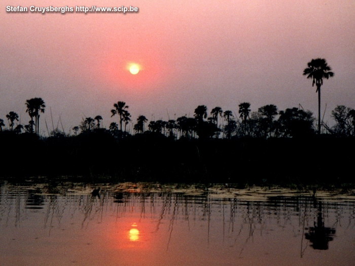 Okavango - Zonsondergang  Stefan Cruysberghs